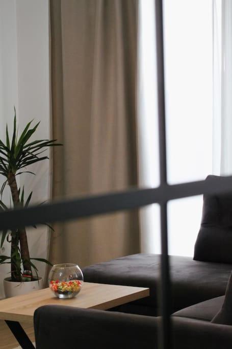 Fabulous With Spacious Garden Apartment Zadar